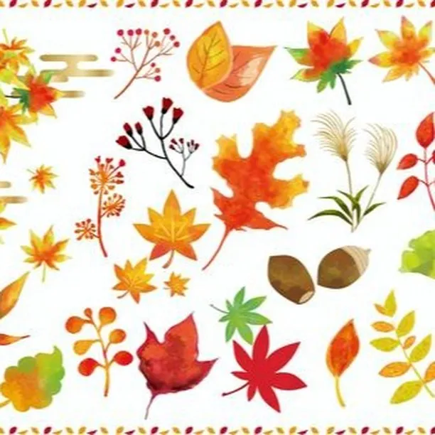 明日は秋分の日です🍂毎年9月の23日頃を秋分の日といいます。