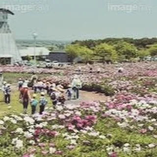 🌆仙台市の美しい風景を背景に、センチュリー21みなみはお客様...