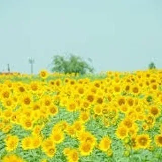 仙台で不動産売買をお考えの方、センチュリー21みなみです！🌻...