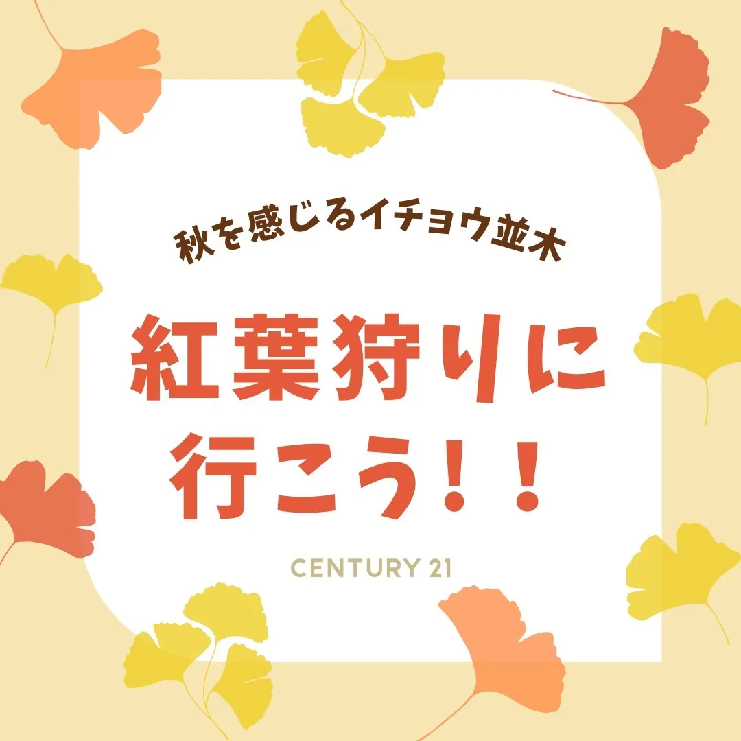 こんにちは！不動産の売買をお考えの皆様、センチュリー21みな...