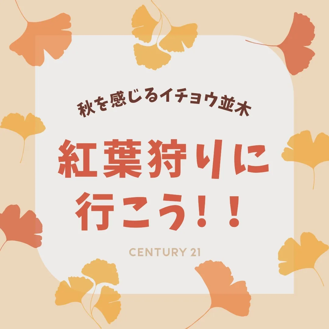 こんにちは！不動産の売買をお考えの皆様、センチュリー21みな...